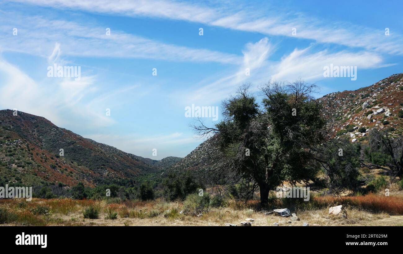 A lone Oak tree at entrance to Cole Canyon in Murrieta, California Stock Photo