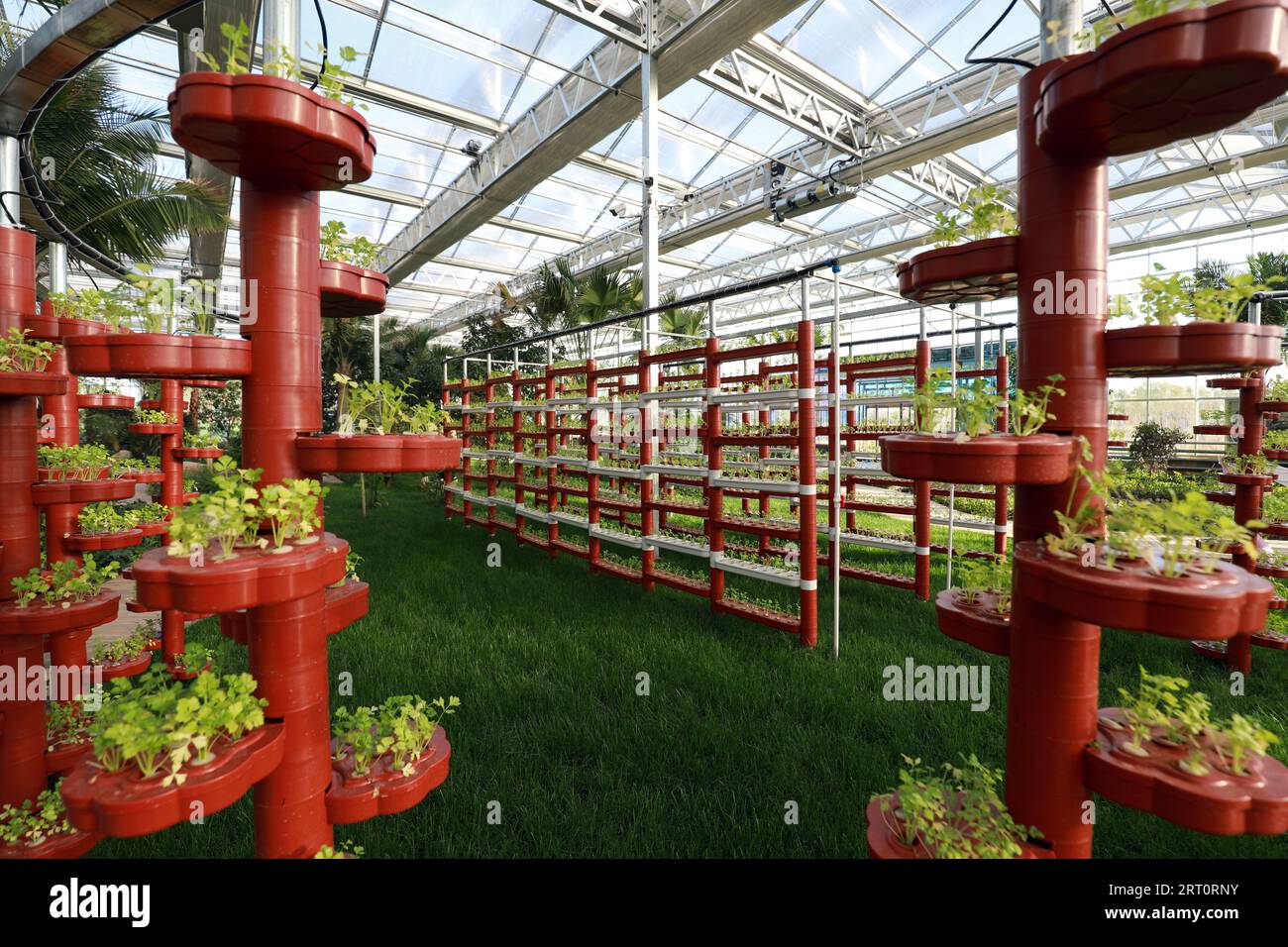FENGNAN COUNTY, Hebei Province, China - November 3, 2020: Soilless vegetables are in the greenhouse Stock Photo