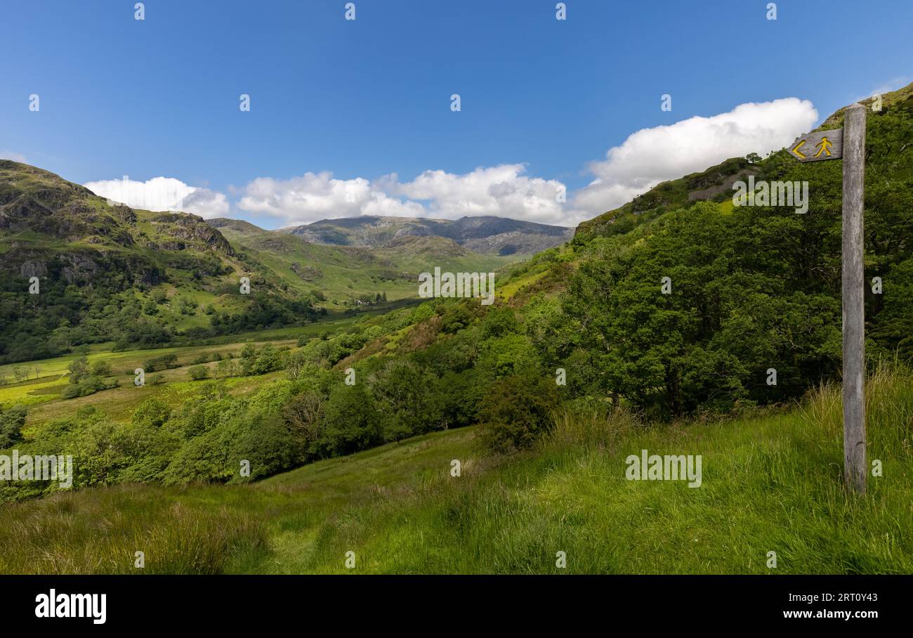 Public footpath in mid Wales, UK Stock Photo