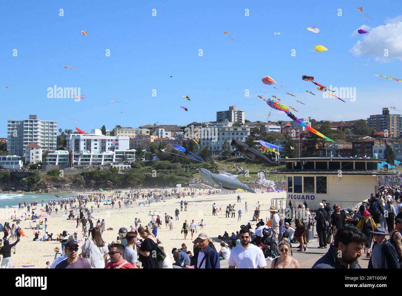 Sydney, Australia. 10th September 2023. Festival of the Winds at Bondi
