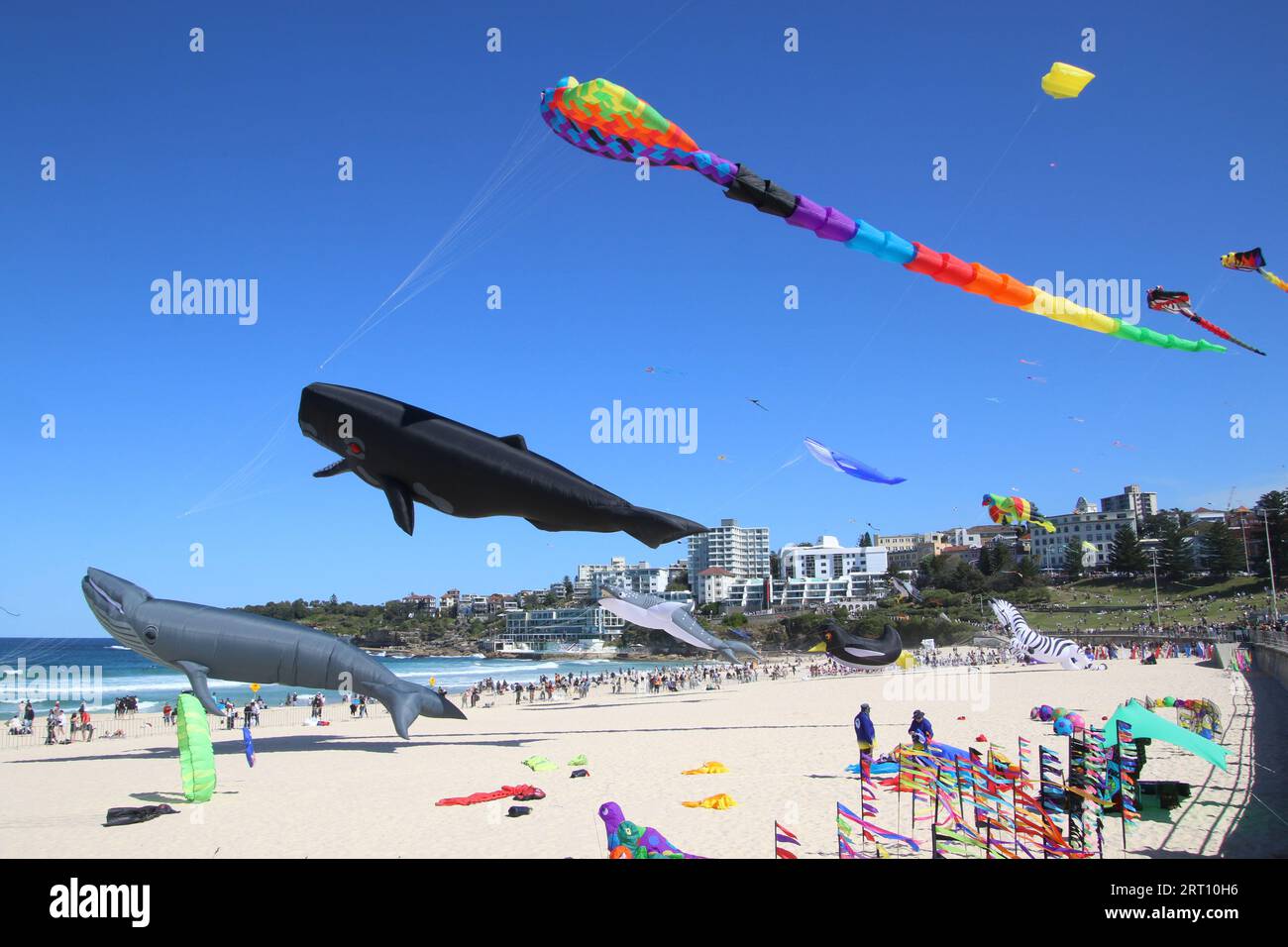 Sydney, Australia. 10th September 2023. Festival of the Winds at Bondi