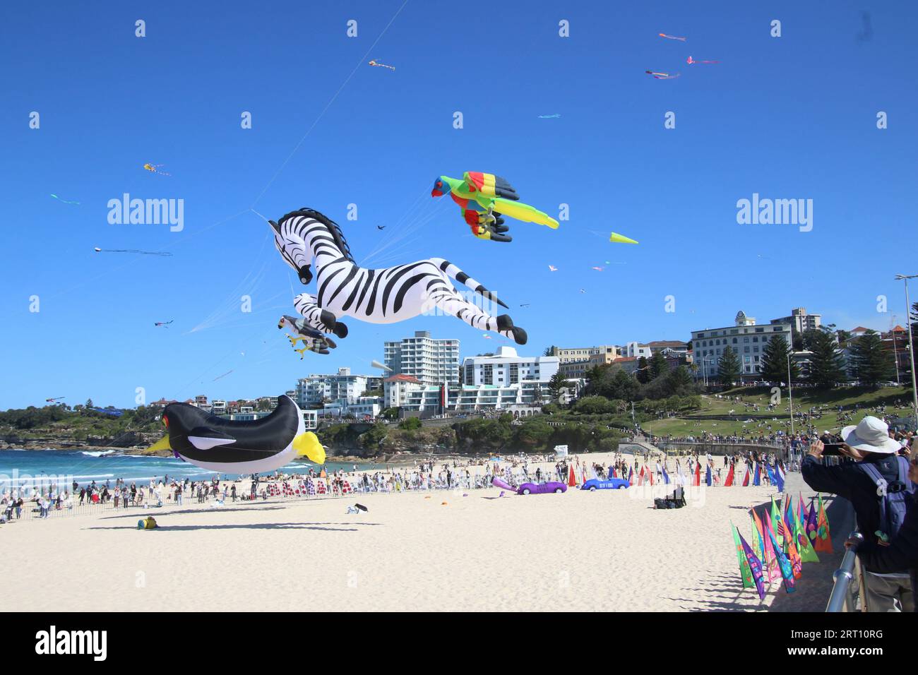 Sydney, Australia. 10th September 2023. Festival of the Winds at Bondi