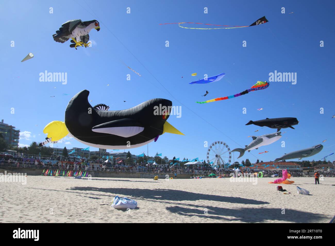 Sydney, Australia. 10th September 2023. Festival of the Winds at Bondi