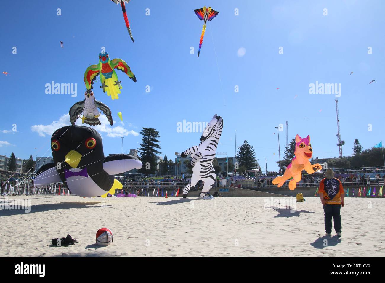 Sydney, Australia. 10th September 2023. Festival of the Winds at Bondi