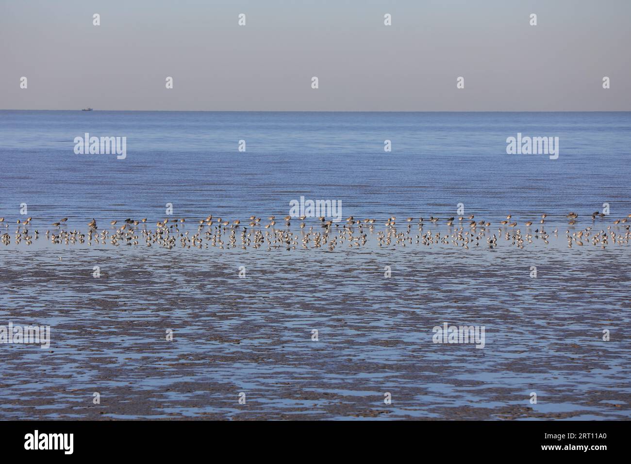 Bohai sea hi-res stock photography and images - Alamy