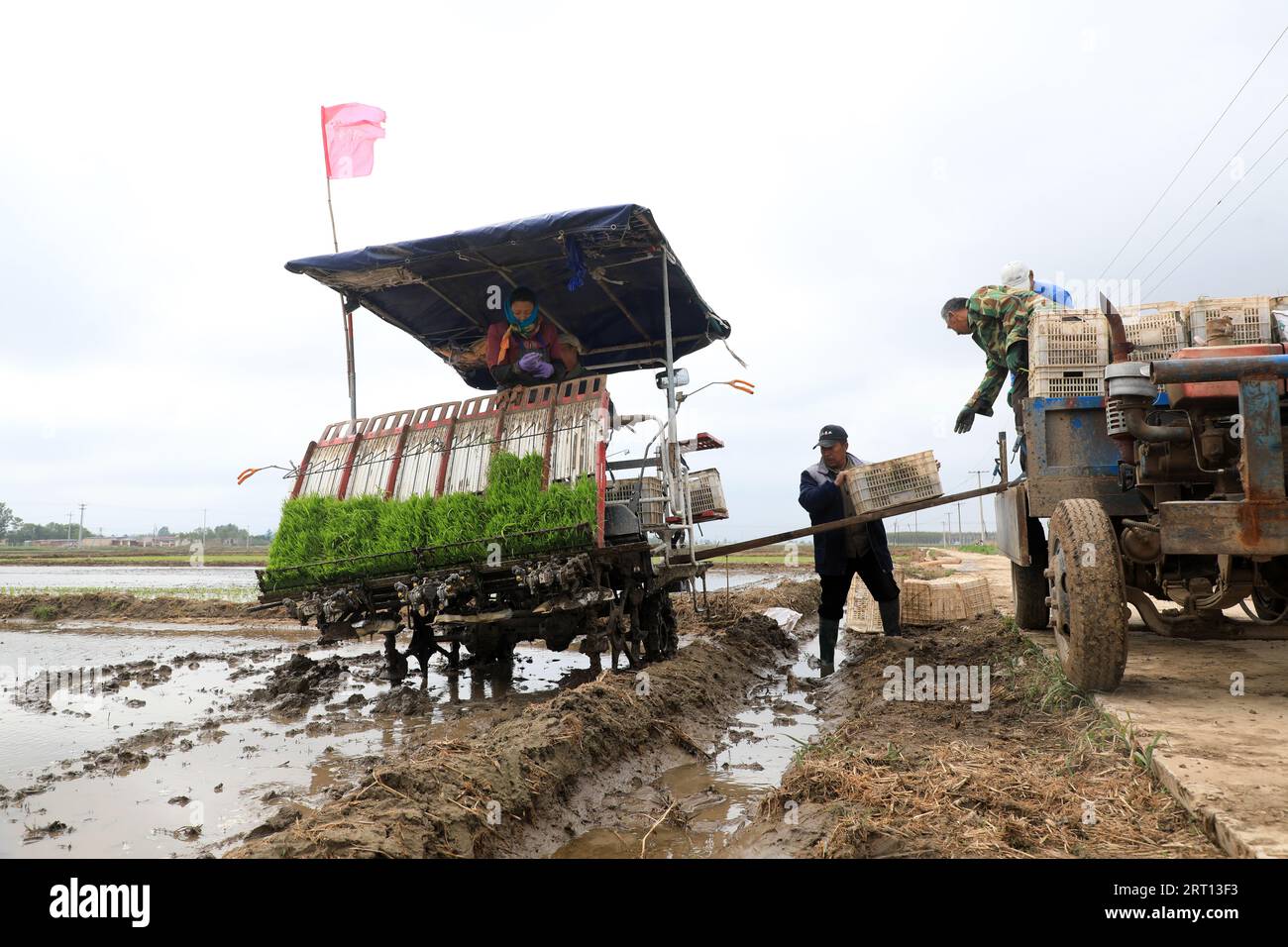 LUANNAN COUNTY, Hebei Province, China - May 15, 2020: Farmers use rice transplanters to grow rice in paddy fields. Stock Photo