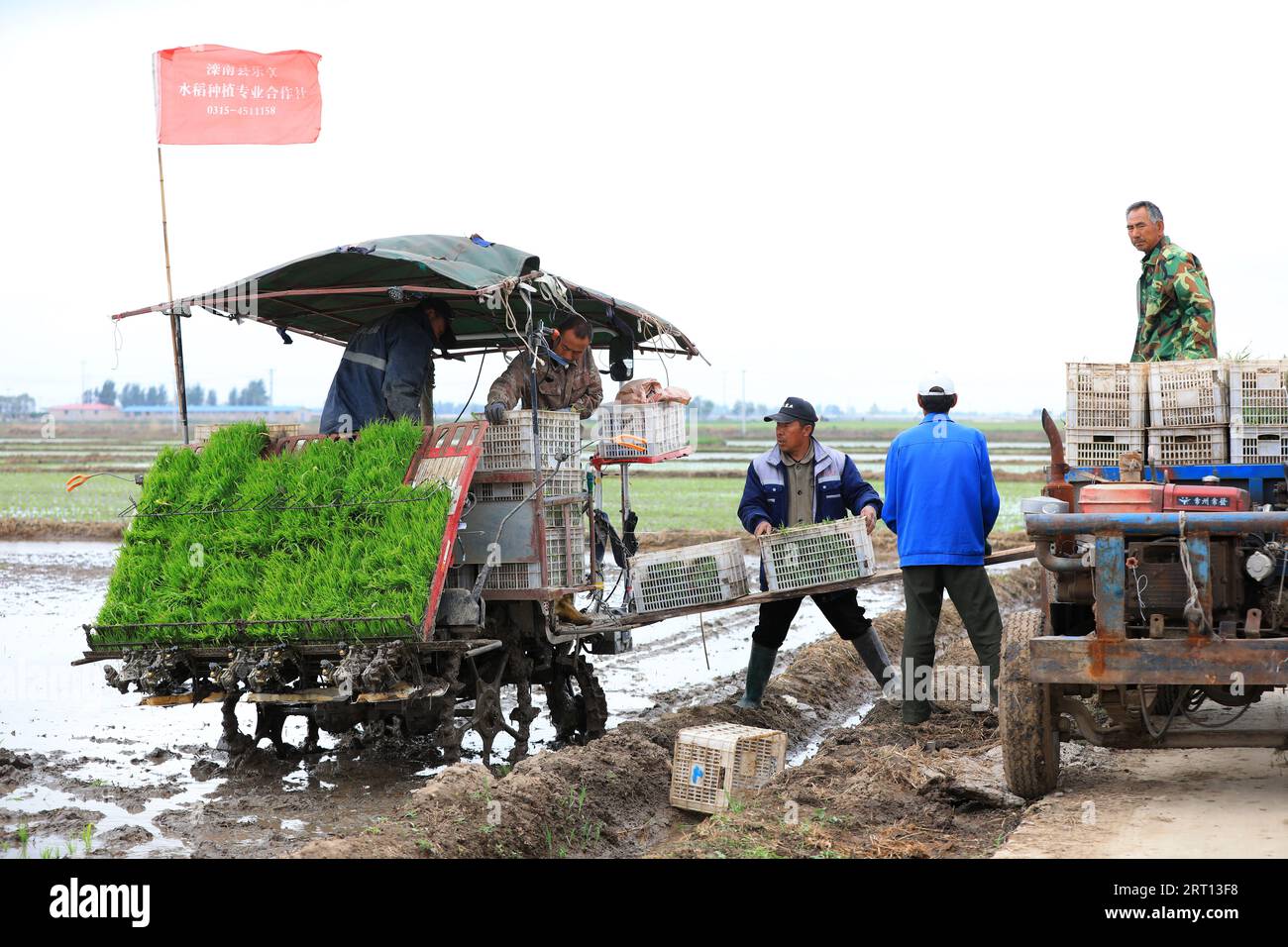 LUANNAN COUNTY, Hebei Province, China - May 15, 2020: Farmers use rice transplanters to grow rice in paddy fields. Stock Photo