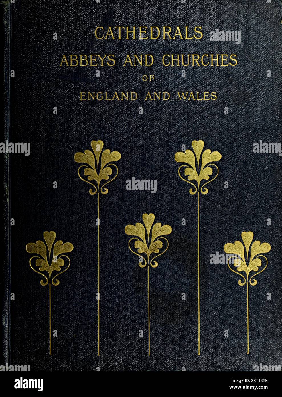Front cover from the book ' Cathedrals, abbeys and churches of England and Wales : descriptive, historical, pictorial ' by Bonney, T. G. (Thomas George), 1833-1923; Publisher London : Cassell 1890 Stock Photo