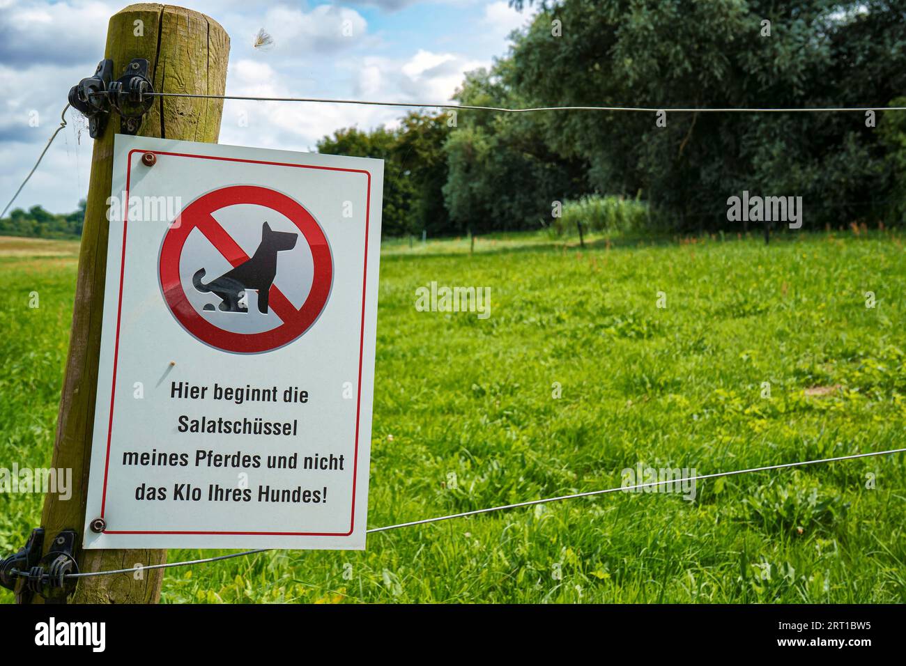 Hundeverbot auf Pferdekoppel Paddock with warning sign: Here begins the salad bowl of my horse, and not the toilet of your dog! Stock Photo