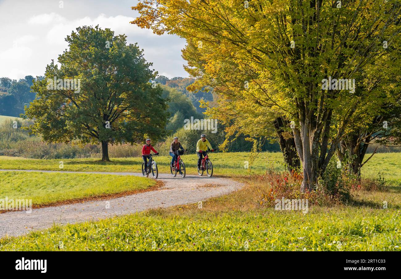 Stuttgart city forest in autumn hi-res stock photography and images - Alamy