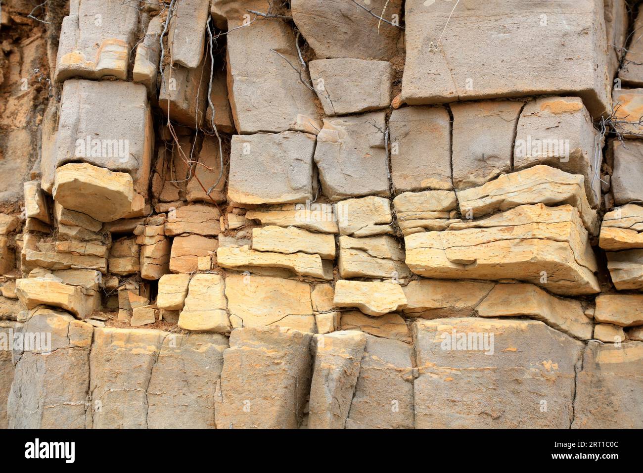 Horizontal bedding structure of rock Stock Photo Alamy