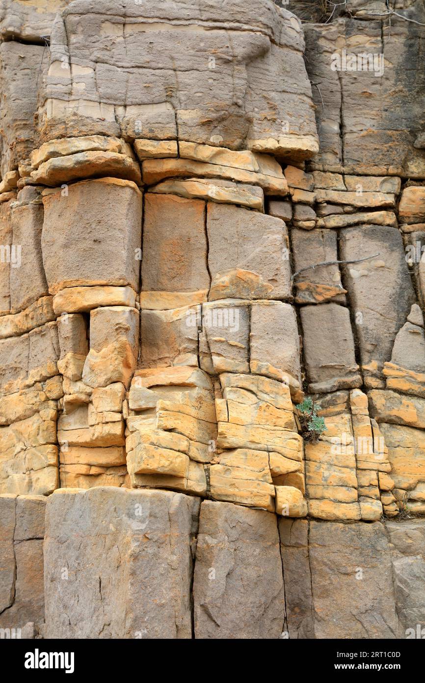 Horizontal bedding structure of rock Stock Photo Alamy
