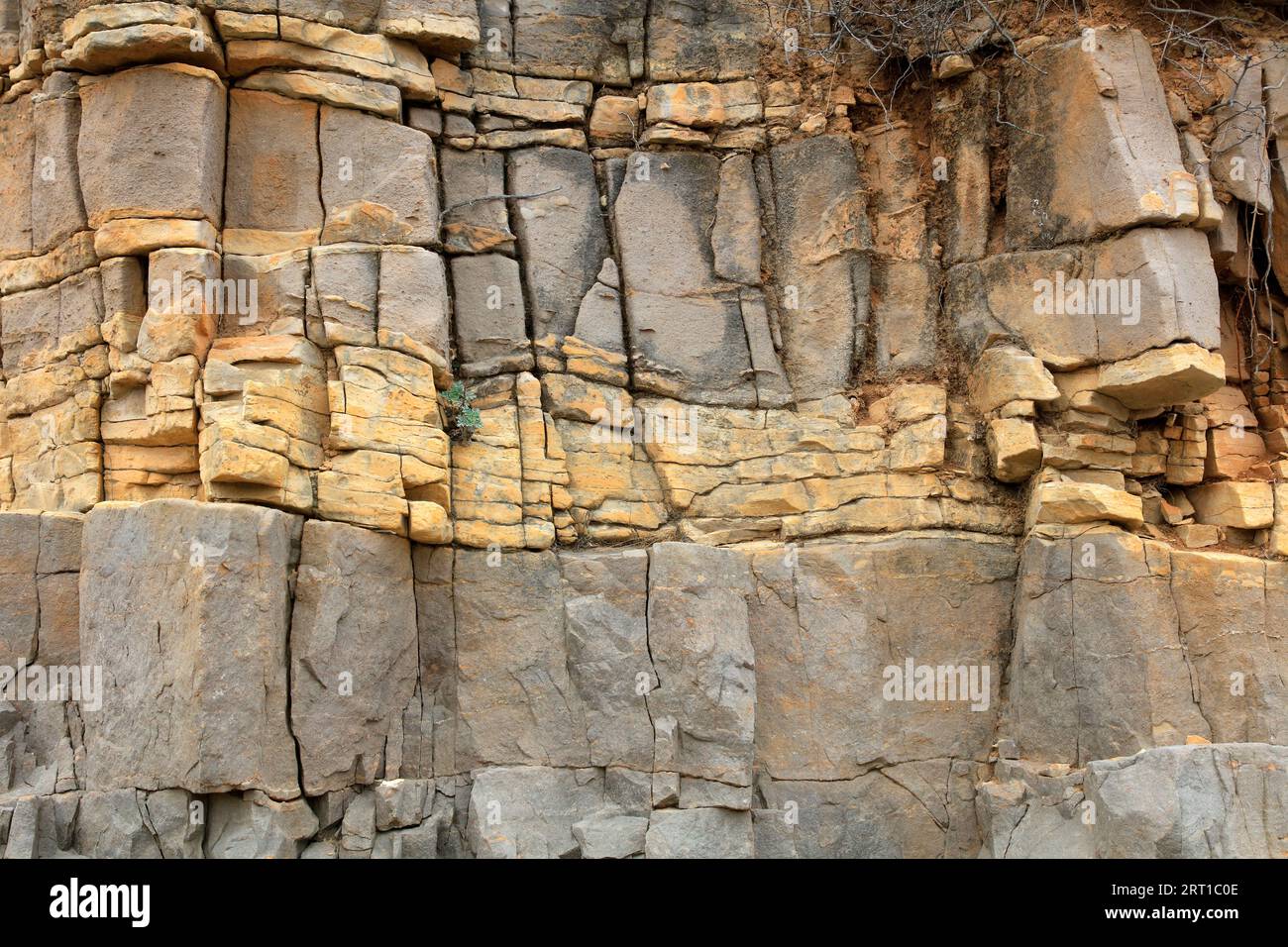 Horizontal bedding structure of rock Stock Photo Alamy