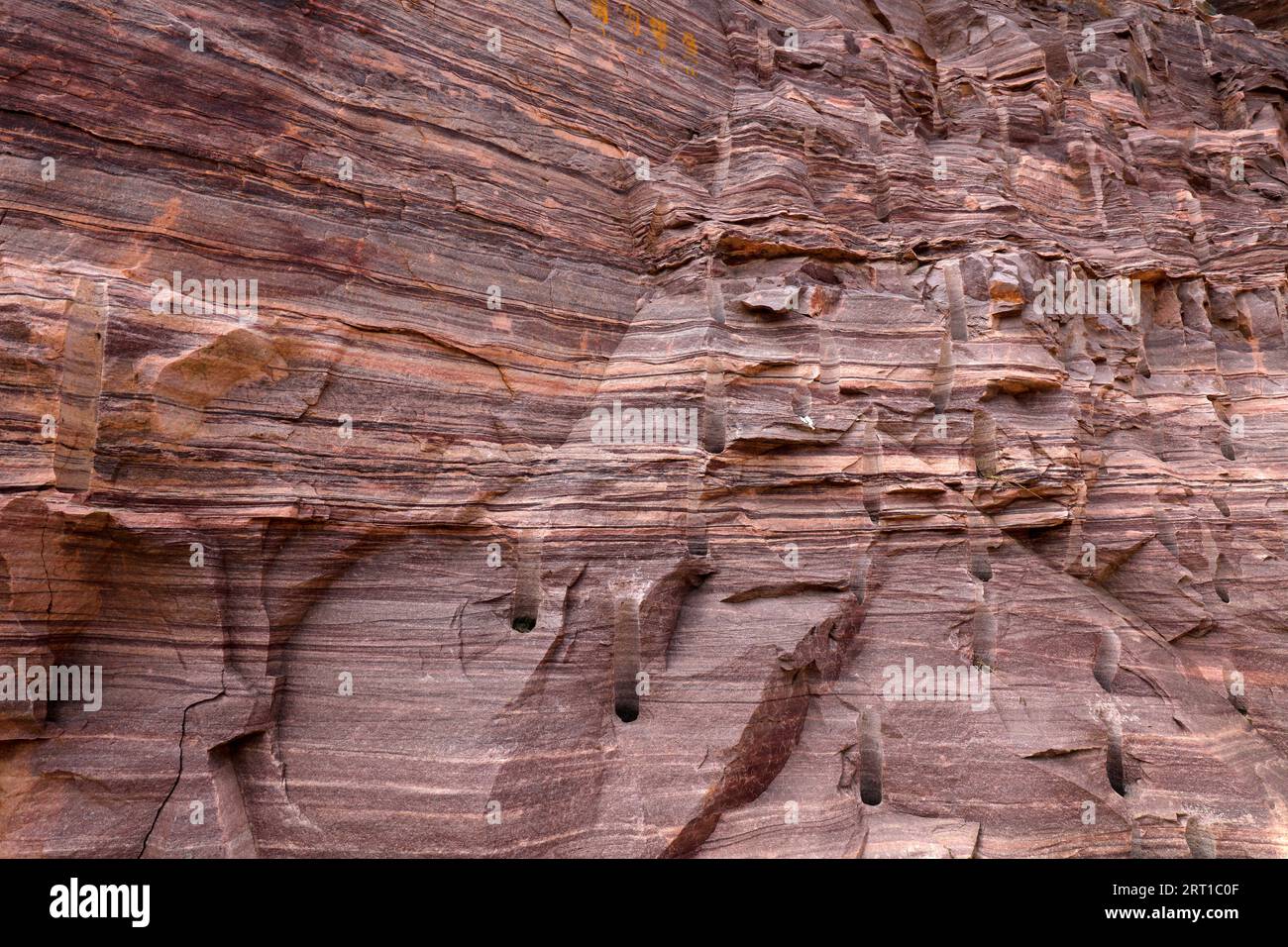 Horizontal bedding structure of rock Stock Photo Alamy