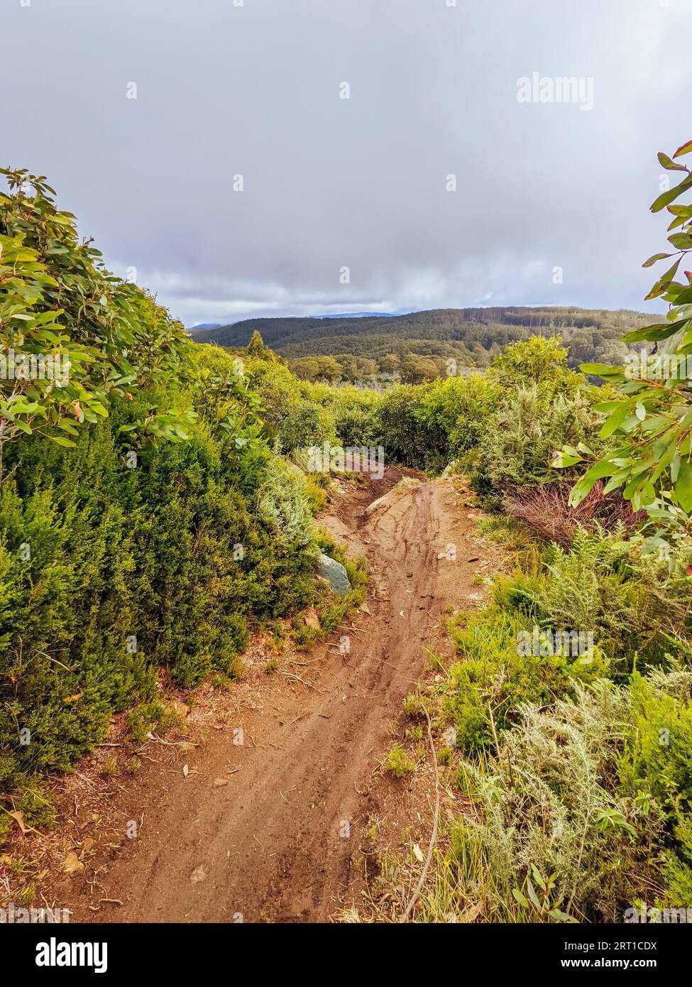 Cascades mountain bike discount park