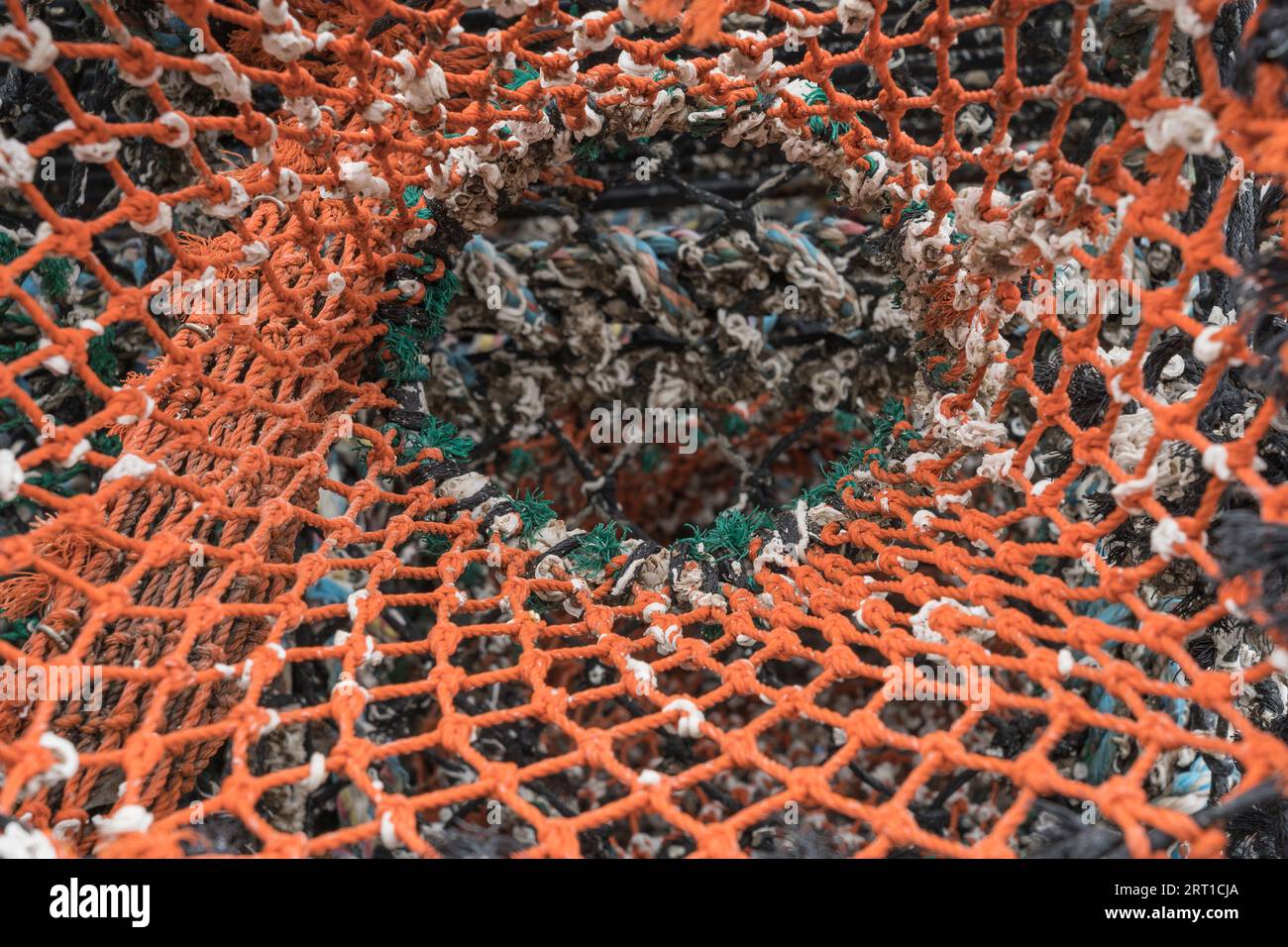 detail of a weathered lobster pot Stock Photo
