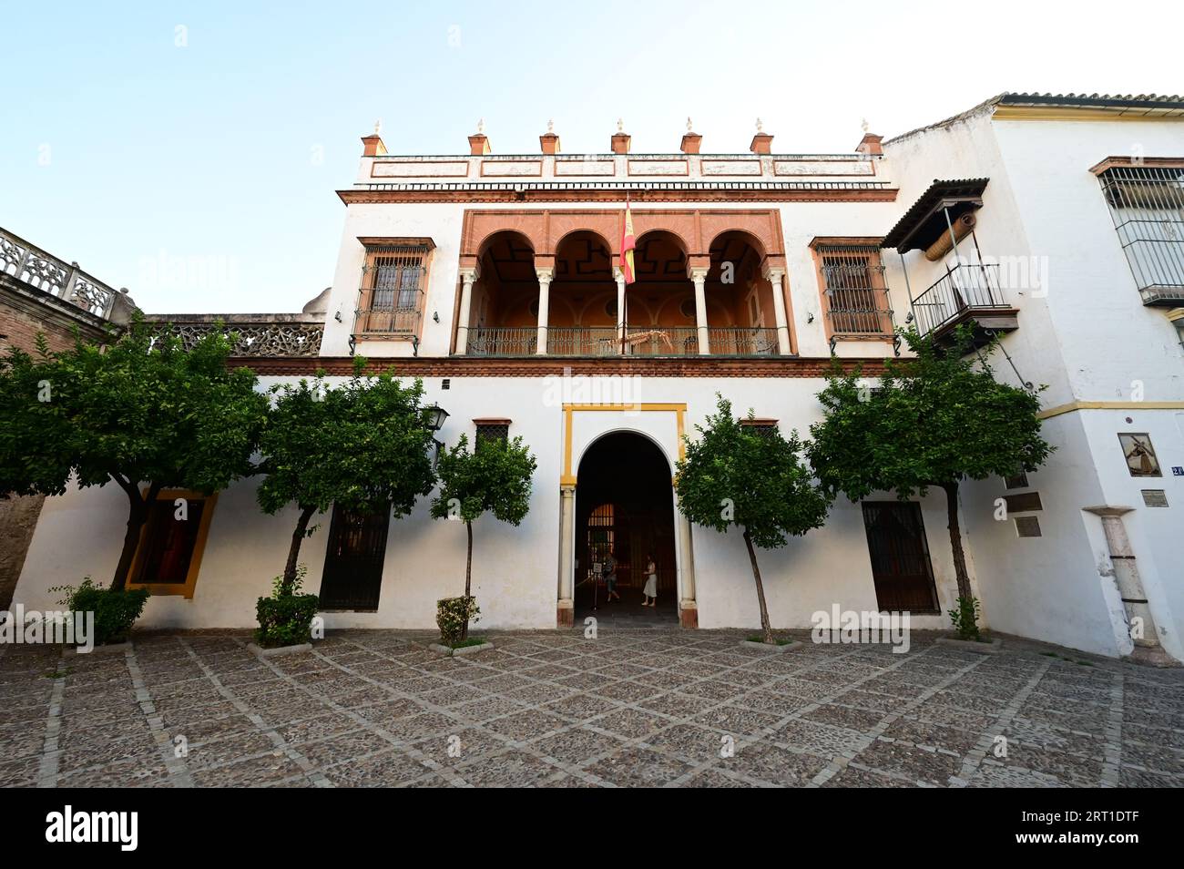 Seville century old tree hi-res stock photography and images - Alamy