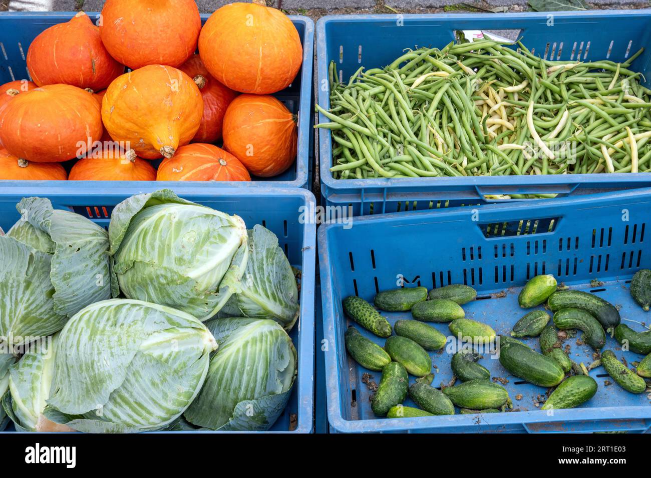 Cabbage, pumpkin and other vegetables in blue boxes Stock Photo