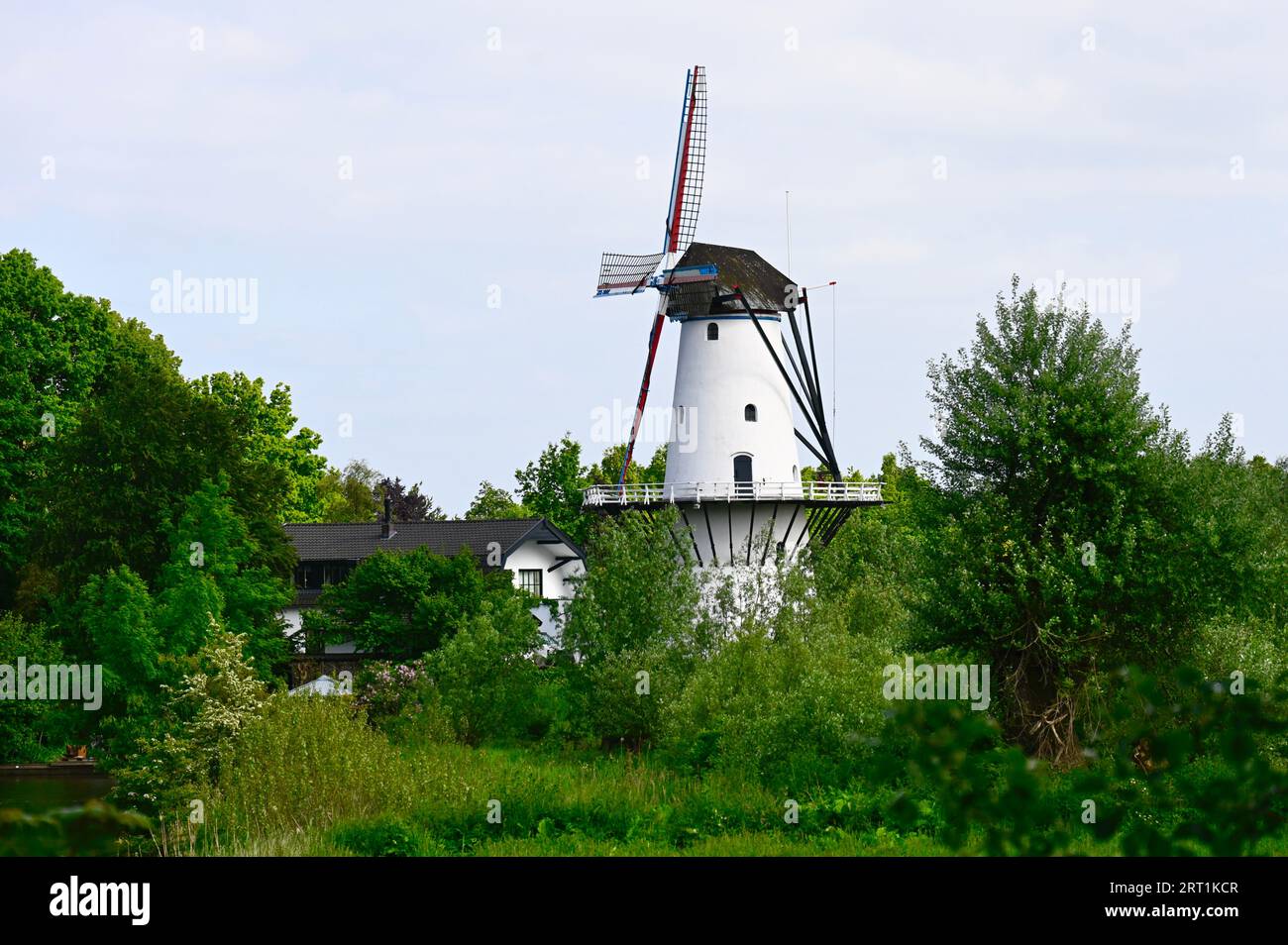 Along the Linge in the Gelderland town of Deil is windmill 'De Vlinder' (The Butterfly) a white-plastered brick flour mill Stock Photo