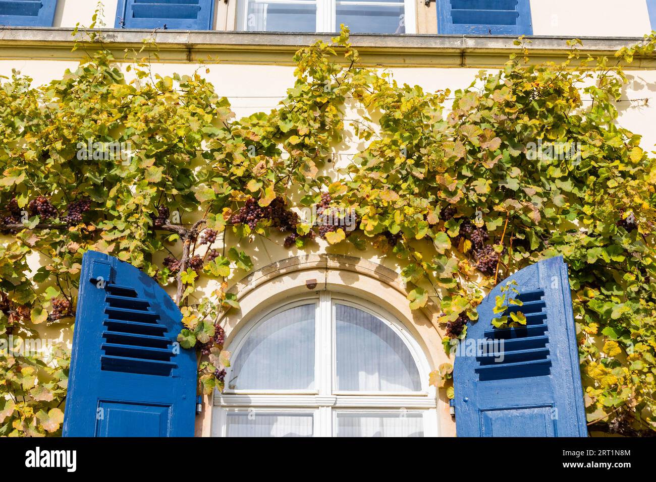 The Meinhold Tower House, now Weingut Friedrich Aust, on Weinbergstrasse 10 in Radebeul Oberloessnitz, Saxony, is part of today's Aust Winery on the Stock Photo