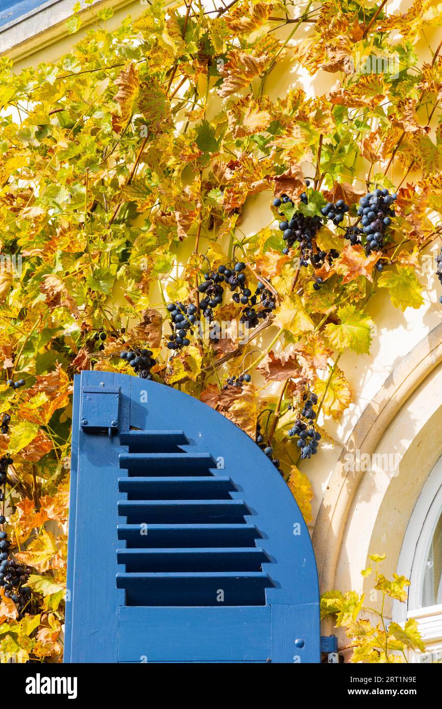 The Meinhold Tower House, now Weingut Friedrich Aust, on Weinbergstrasse 10 in Radebeul Oberloessnitz, Saxony, is part of today's Aust Winery on the Stock Photo