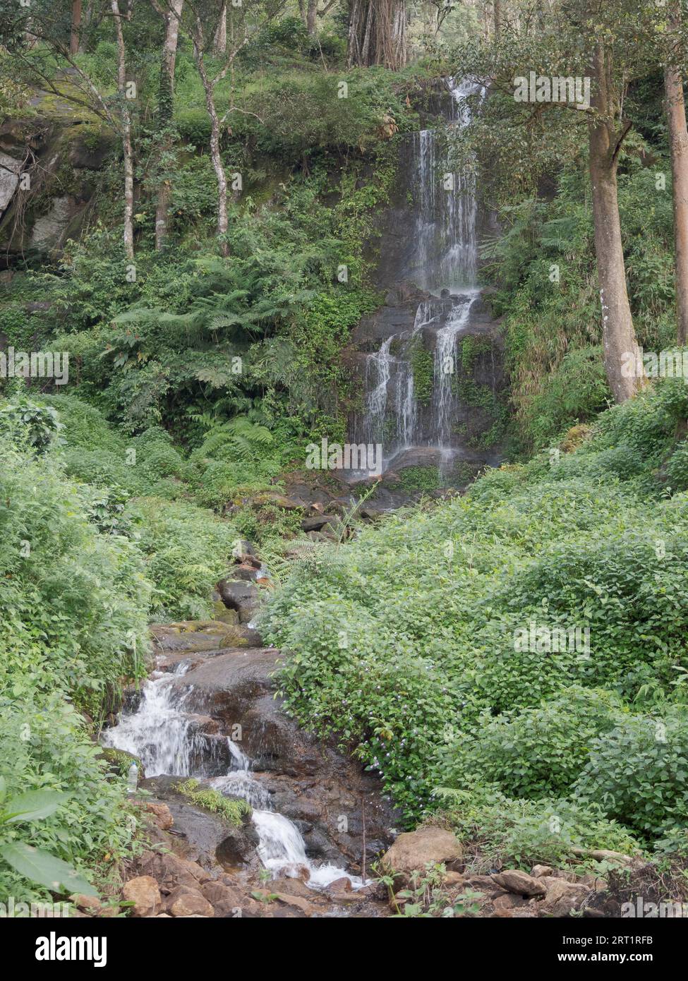 Waterfall between trees in rainforest in Hotel resort in Munnar, Kerala, South India Stock Photo