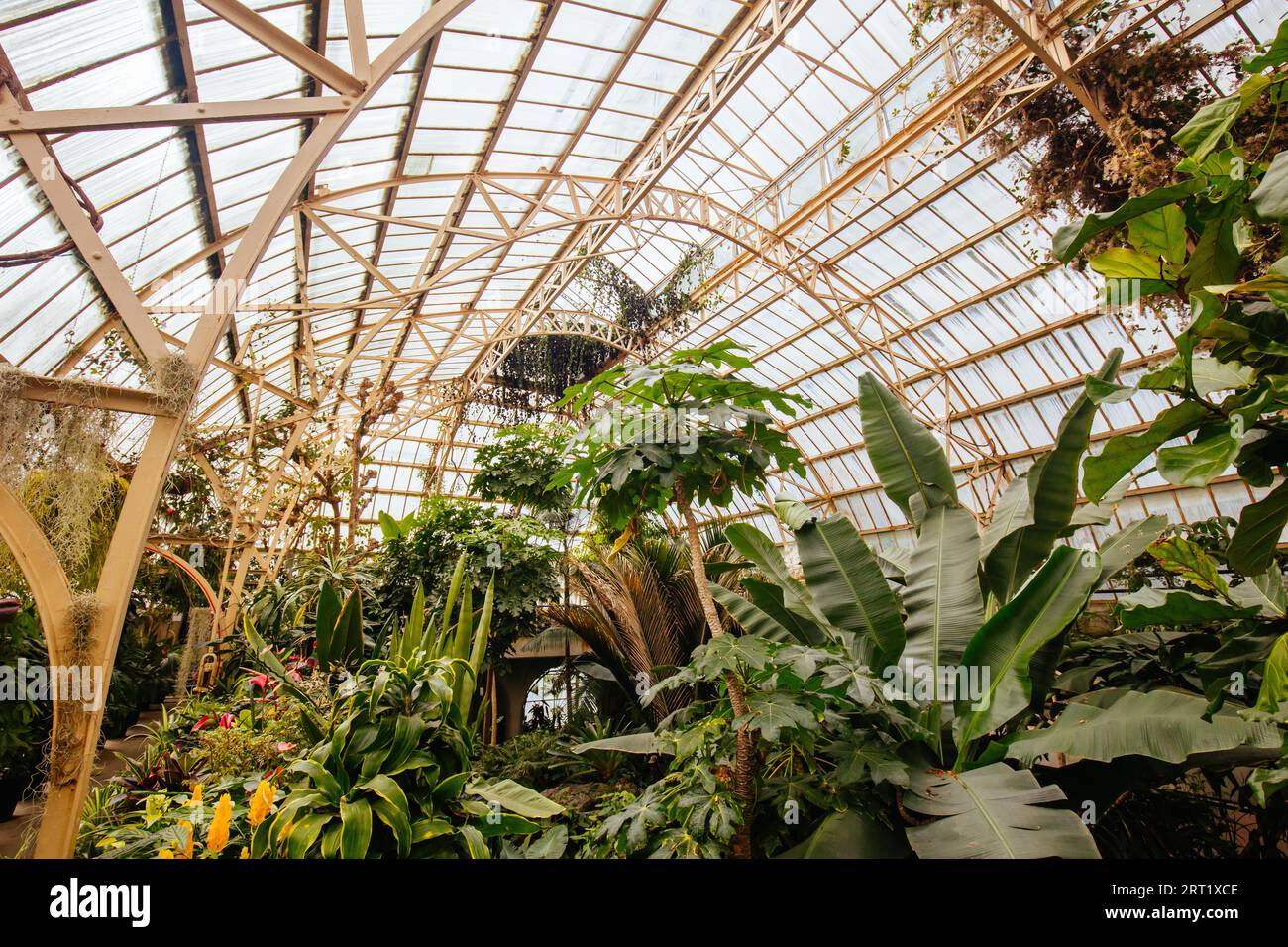 The historic Christchurch Botanic Gardens Conservatory in New Zealand Stock Photo Alamy