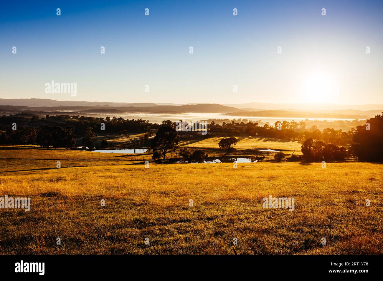 The sun rises at Kangaroo Ground towards Panton Hill on a misty autum morning in Victoria, Australia Stock Photo