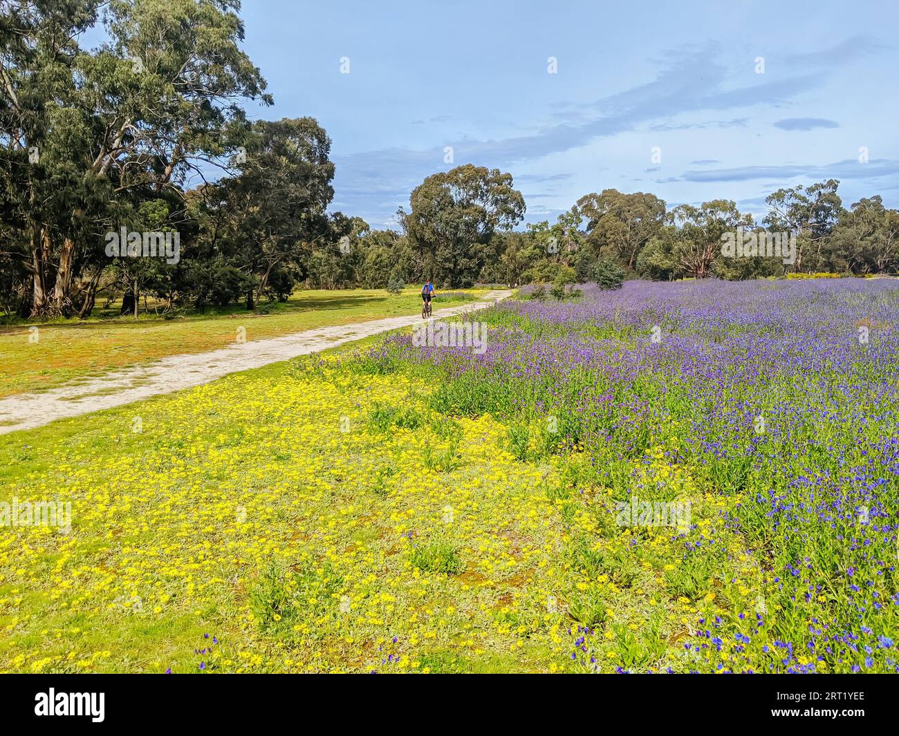 Mountain bike trails around Plenty State Park in northern