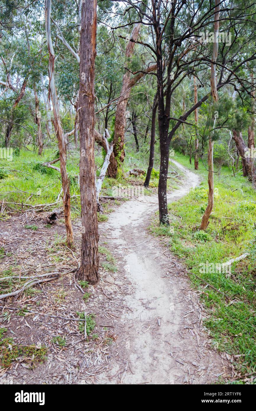 Mountain bike and walking trails in Plenty State Park in northern