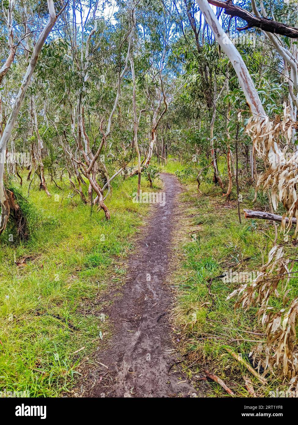 Walk and bike trails with Australian bush setting in Macleod in