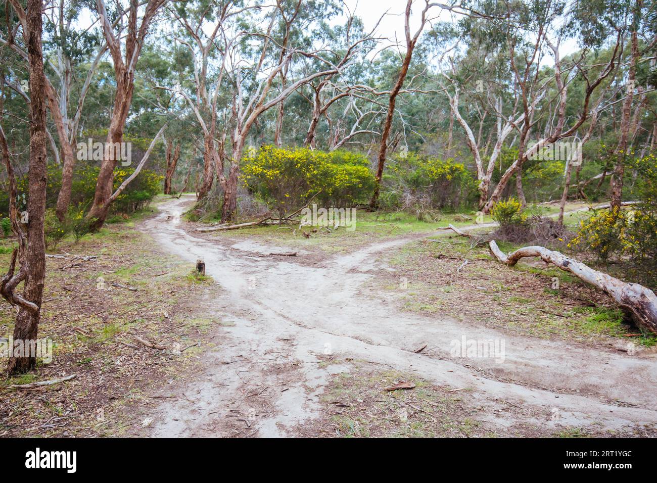 Mountain bike and walking trails in Plenty State Park in northern