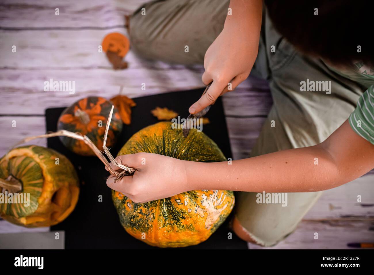 Hands of the boy showcase their talent as they craft a Halloween pumpkin with a sinister face. Stock Photo