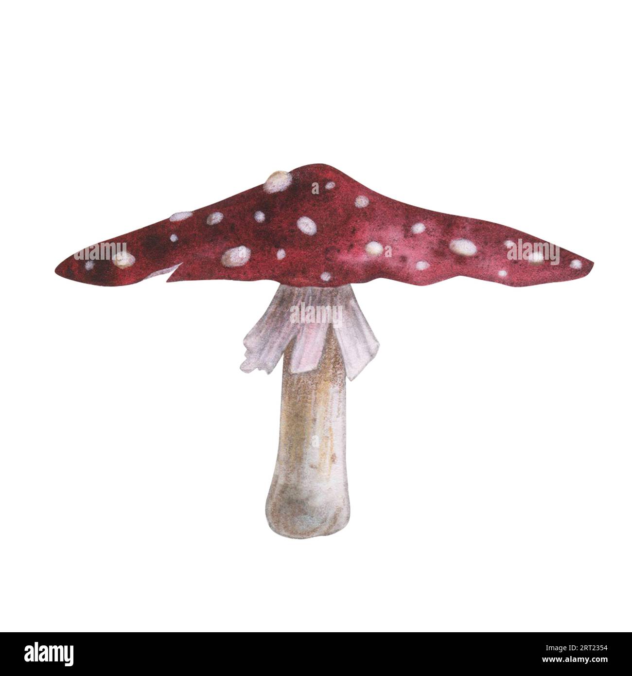 Red fly agaric with magical texture isolated on white background. Watercolor hand drawn amanita poison mushroom sketch iIllustration. Art design Stock Photo