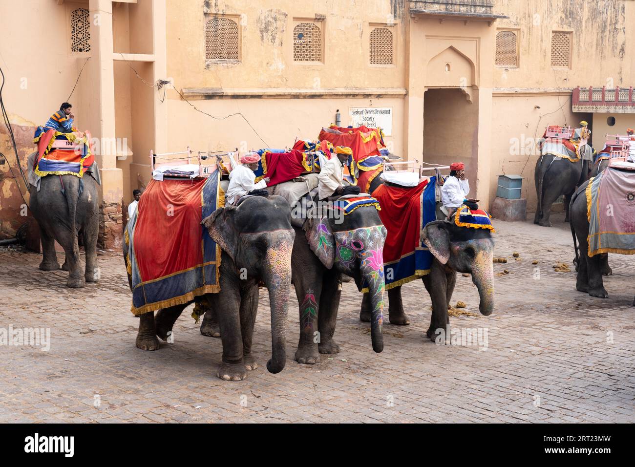 Jaipur, India, December 12, 2019: Decorated elephants waiting for tourists at Amber Fort Stock Photo