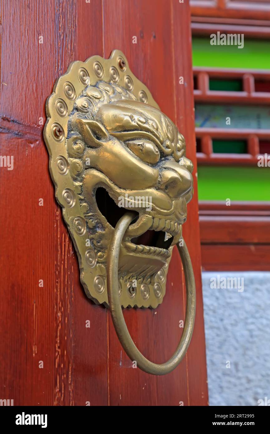 Bronze Dark Dragon Door Handle