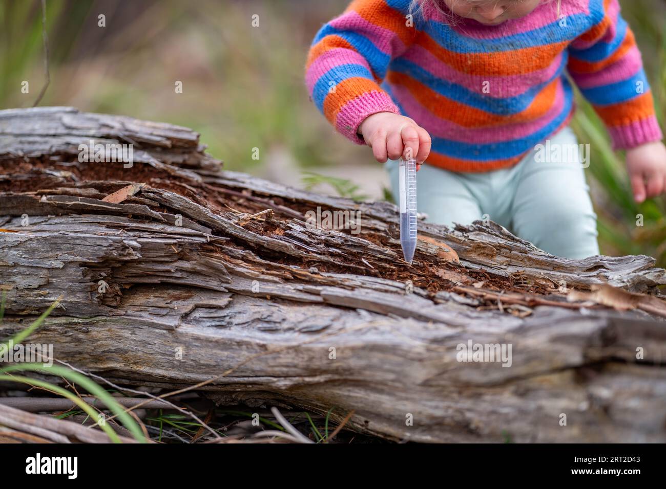 toddler with test tube learning science in the wild Stock Photo - Alamy
