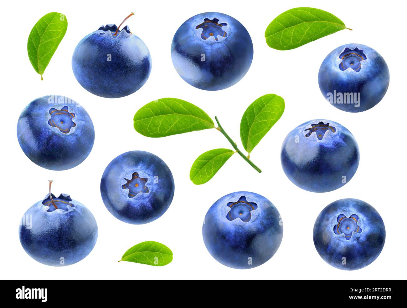 Isolated collection of blueberry fruits with leaves isolated on white background Stock Photo