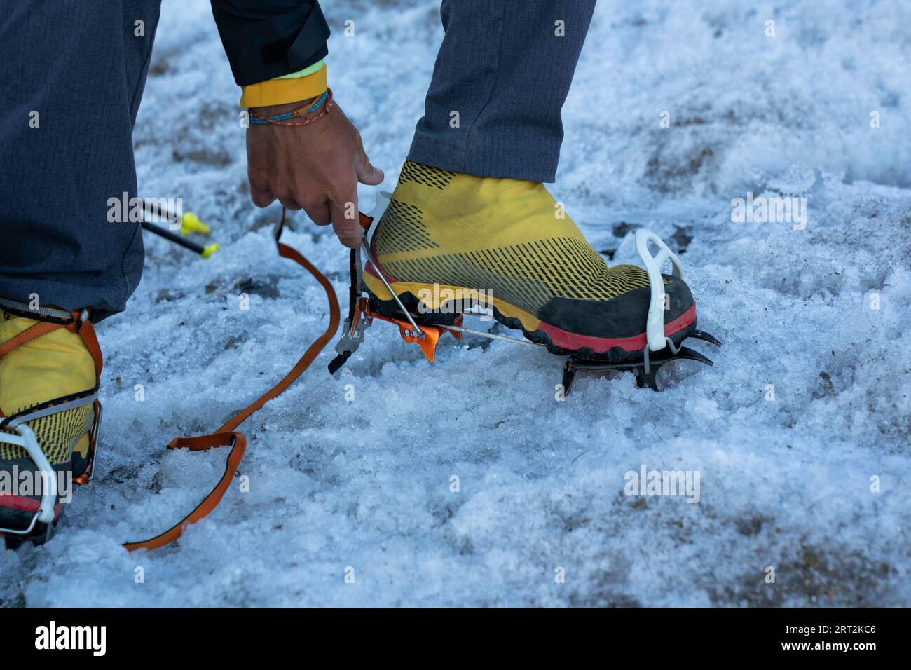 Mountaineer wearing the crampons to walk on the ice and climb the mountain glacier to the peak. close up details. Gran Paradiso National Park. Stock Photo