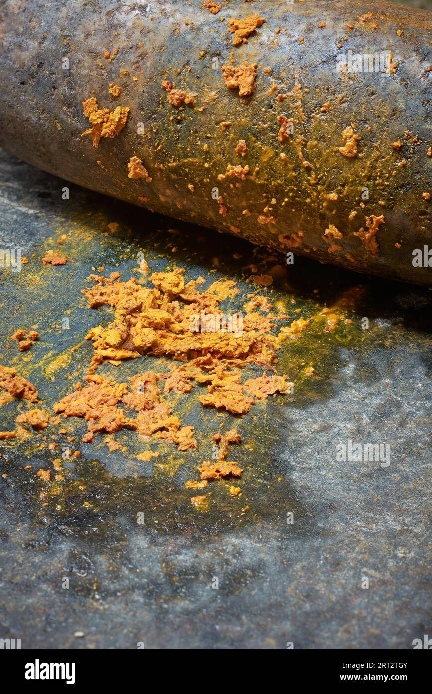 close-up of grinding turmeric rhizomes or roots on grinding stone, curcuma longa, processing of commonly used spice in cooking and medicine Stock Photo