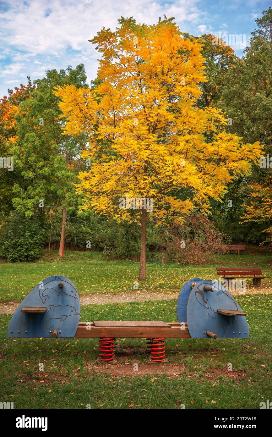The seesaw in front of the autumn tree Stock Photo
