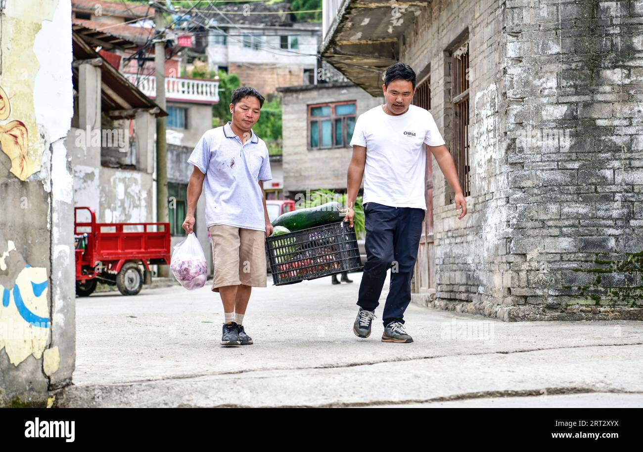 (230910) -- GUIDING, Sept. 10, 2023 (Xinhua) -- Lu Chengwen (R) and the handyman Pan Delu carry back the ingredients for students' nutritious meals from a market in Guiding County, southwest China's Guizhou Province, Sept. 7, 2023. Yanjiao teaching point is a 'micro primary school' located at a flat area among mountains in southwest China's Guizhou. Lu Chengwen is the only teacher here with 28 preschool and 6 grade one students. In 2012, Lu, who had just graduated from the university, chose to teach at the remote Yanjiao teaching point. Preschool students, grown up from the mountainous villag Stock Photo