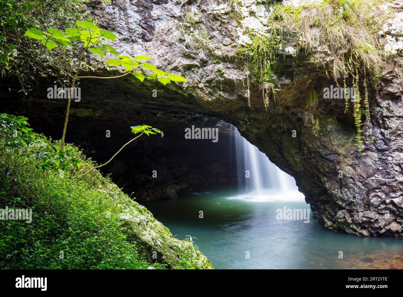 The majestic and iconic Natural Bridge on a warm autumn day in Springbrook National Park near the Gold Coast, Queensland, Australia Stock Photo