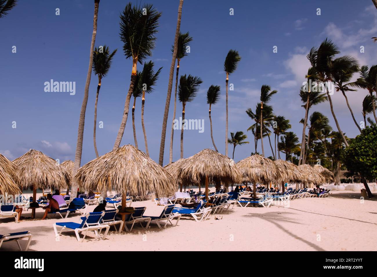 Playa Bavaro beach at Melia Caribe Beach Resort in Caribbean, Dominican ...