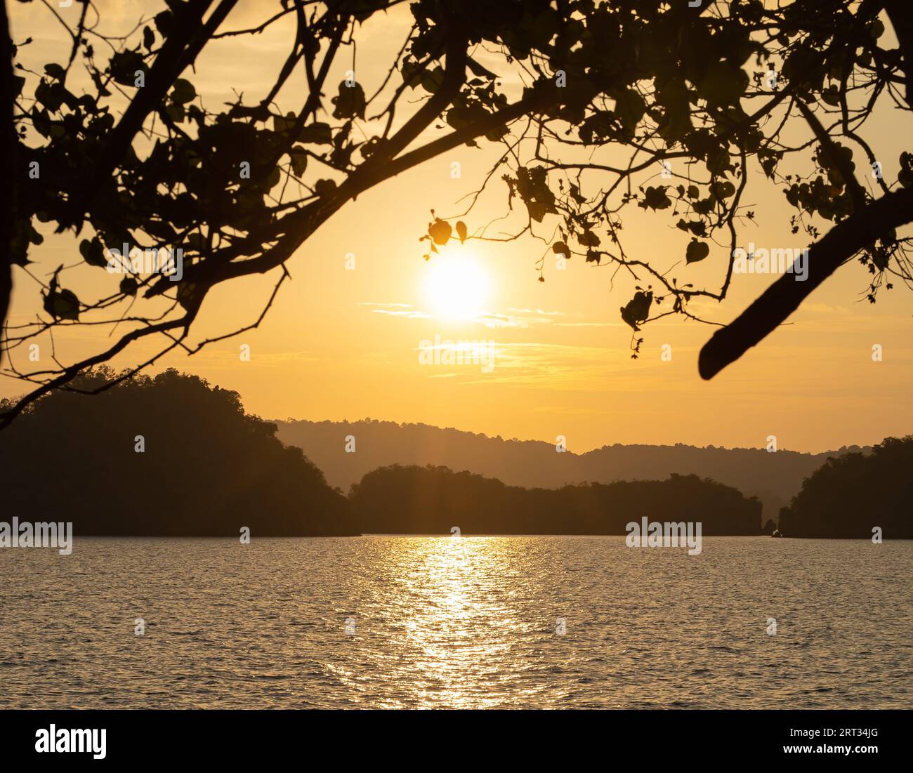 Sunset view through the branches of the will as the sun sets over the sea and mountains and harbor. A wonderful place and a landscape of strength and Stock Photo