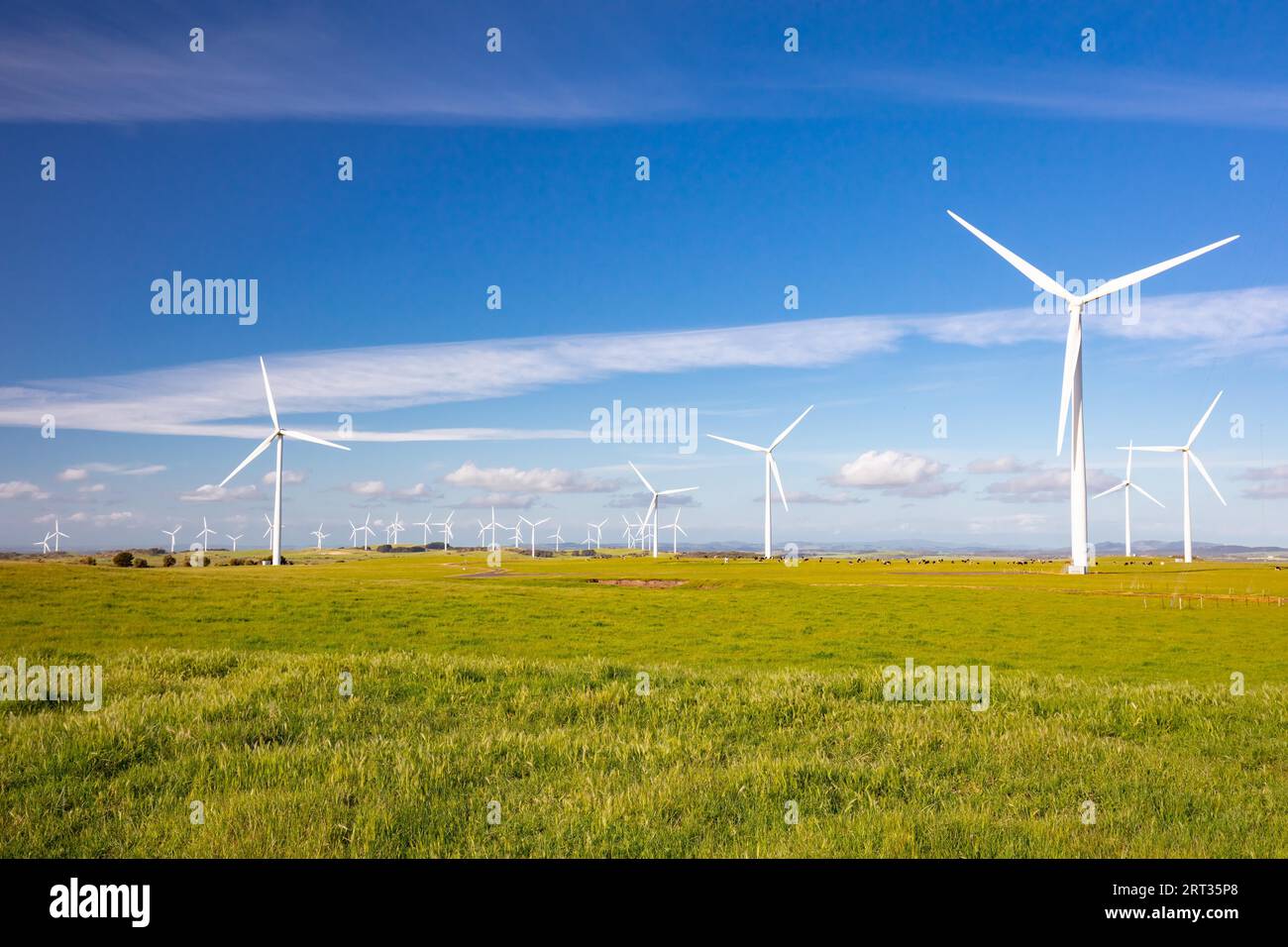 The Bald Hills Wind Farm near Walkerville in the Bass Coast region of