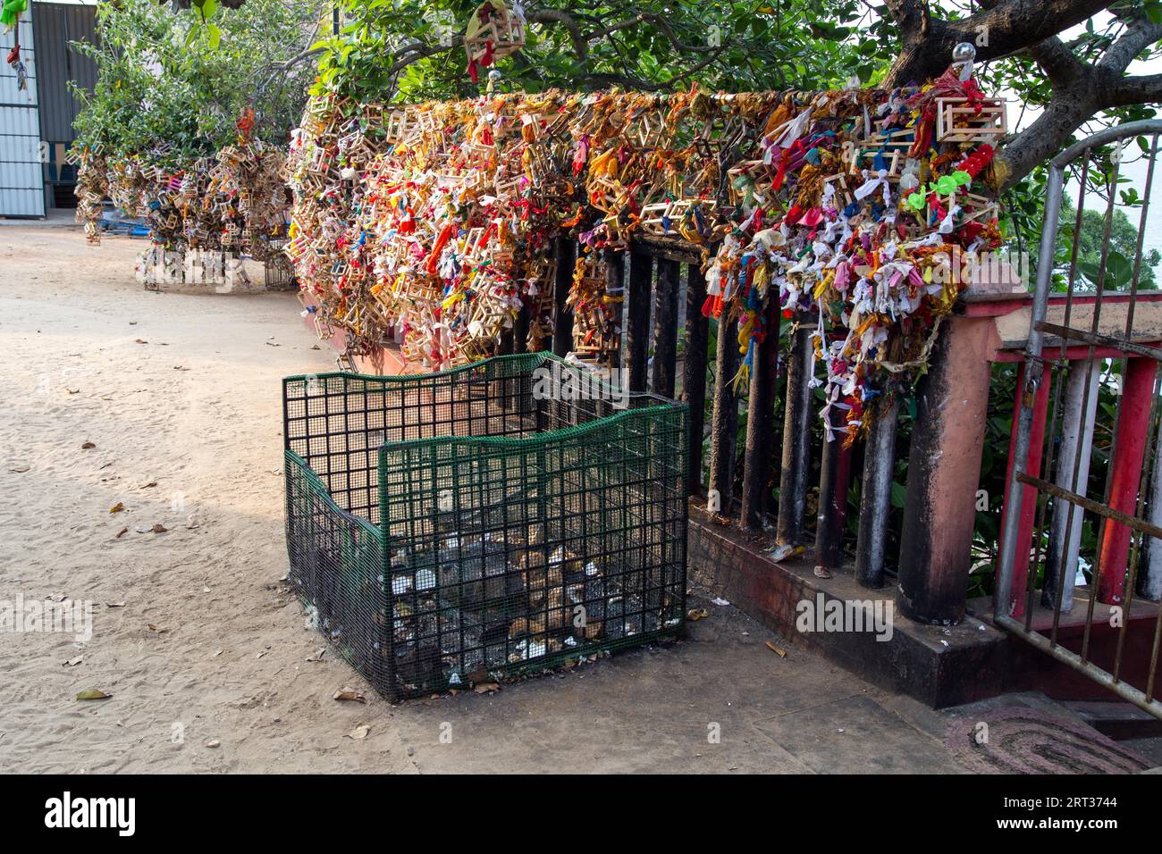 Sri Lanka, August 23, 2018 Pregnancy offerings in from of