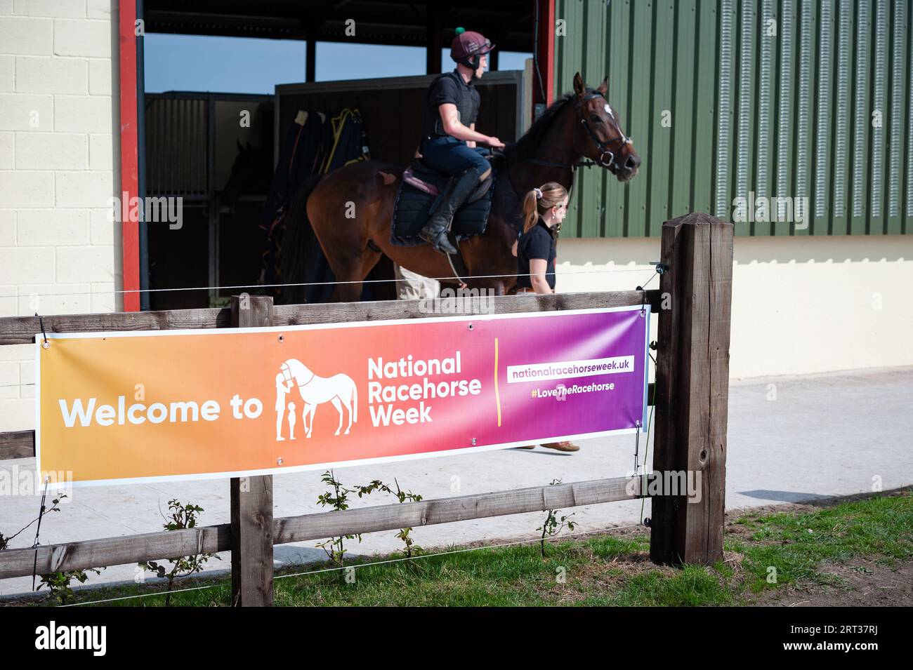 Whitchurch, Shropshire, UK. 10th Sep, 2023. Scenes from the Open Day of Sam Allwood Racing, as part of the National Racehorse Week celebrations. Credit: JTW Equine Images/Alamy Live News Stock Photo