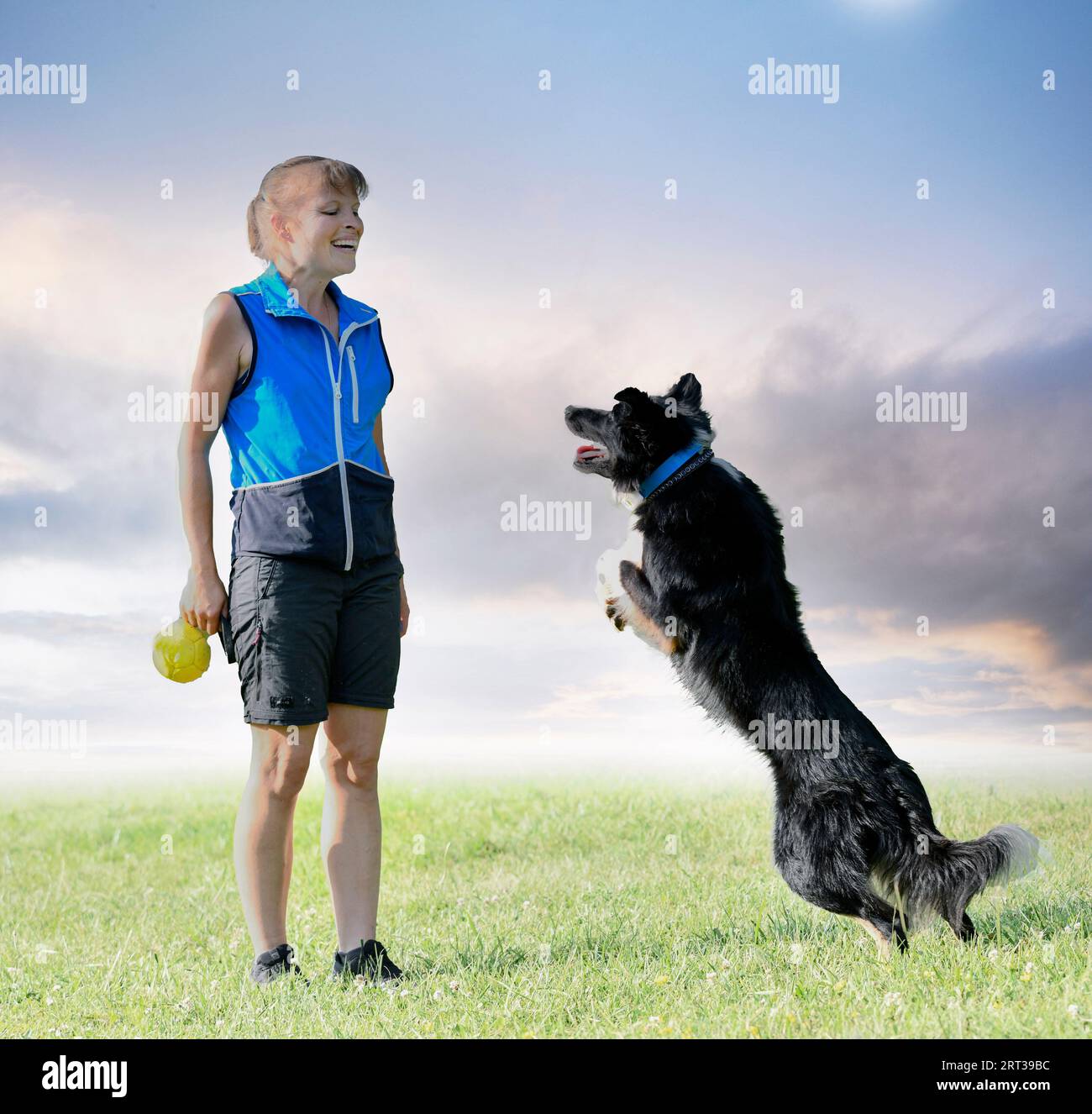 dog training for obedience discipline with a border collie Stock Photo
