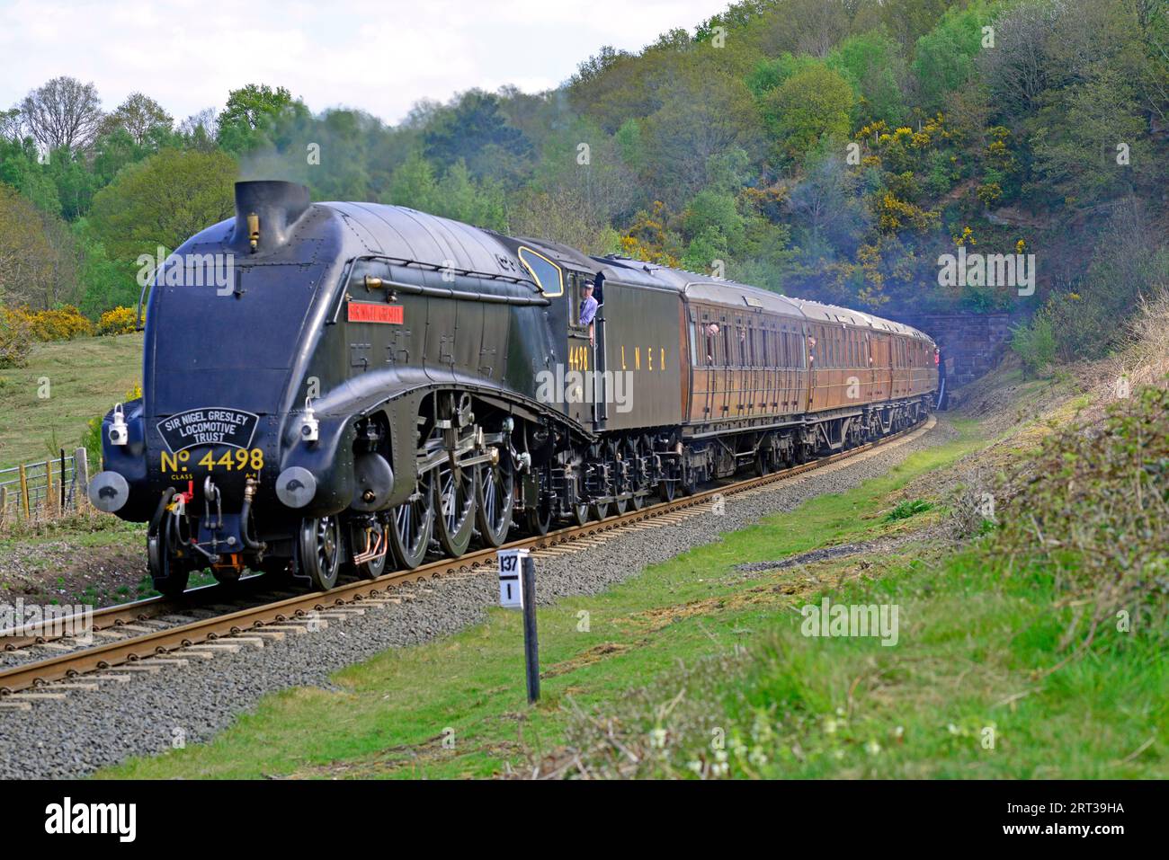 Visiting the Severn Valley Railway, LNER A4 Pacific 4498 Sir Nigel Gresley is seen emerging from Bewdley Tunnel with a rake of period Teak Coaches. Stock Photo